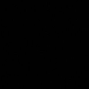 Meet your Posher, Muhammad